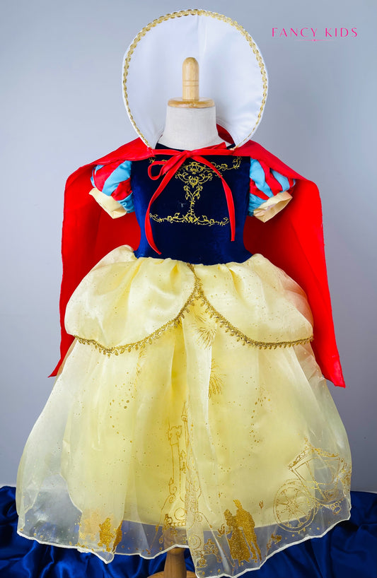 Snow White princess costume dress