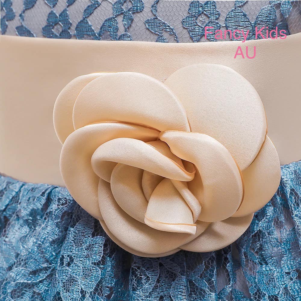 Rosy lace dress- Grey