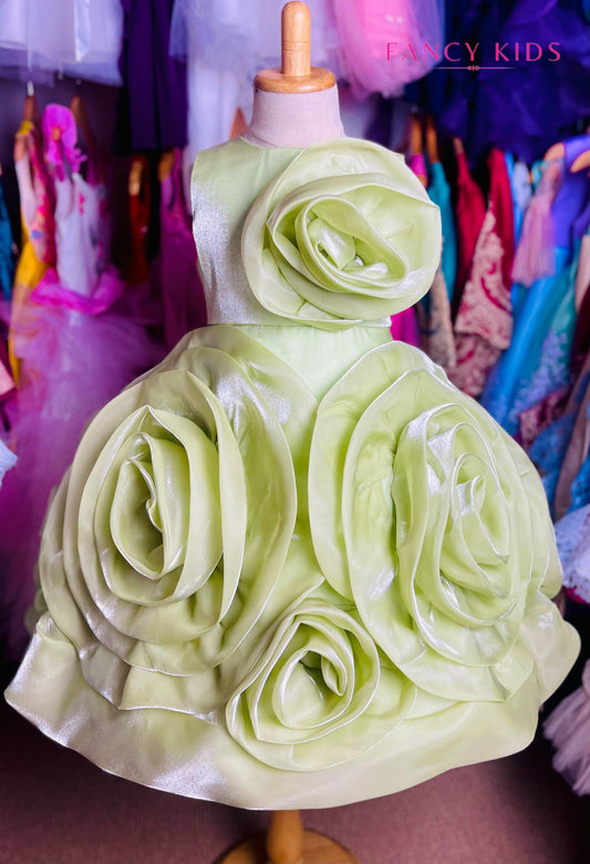 Stunner dress- light green