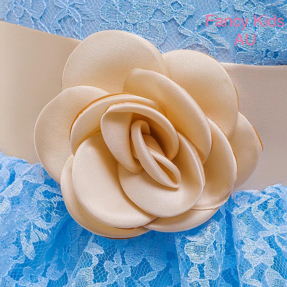 Rosy lace dress- Blue